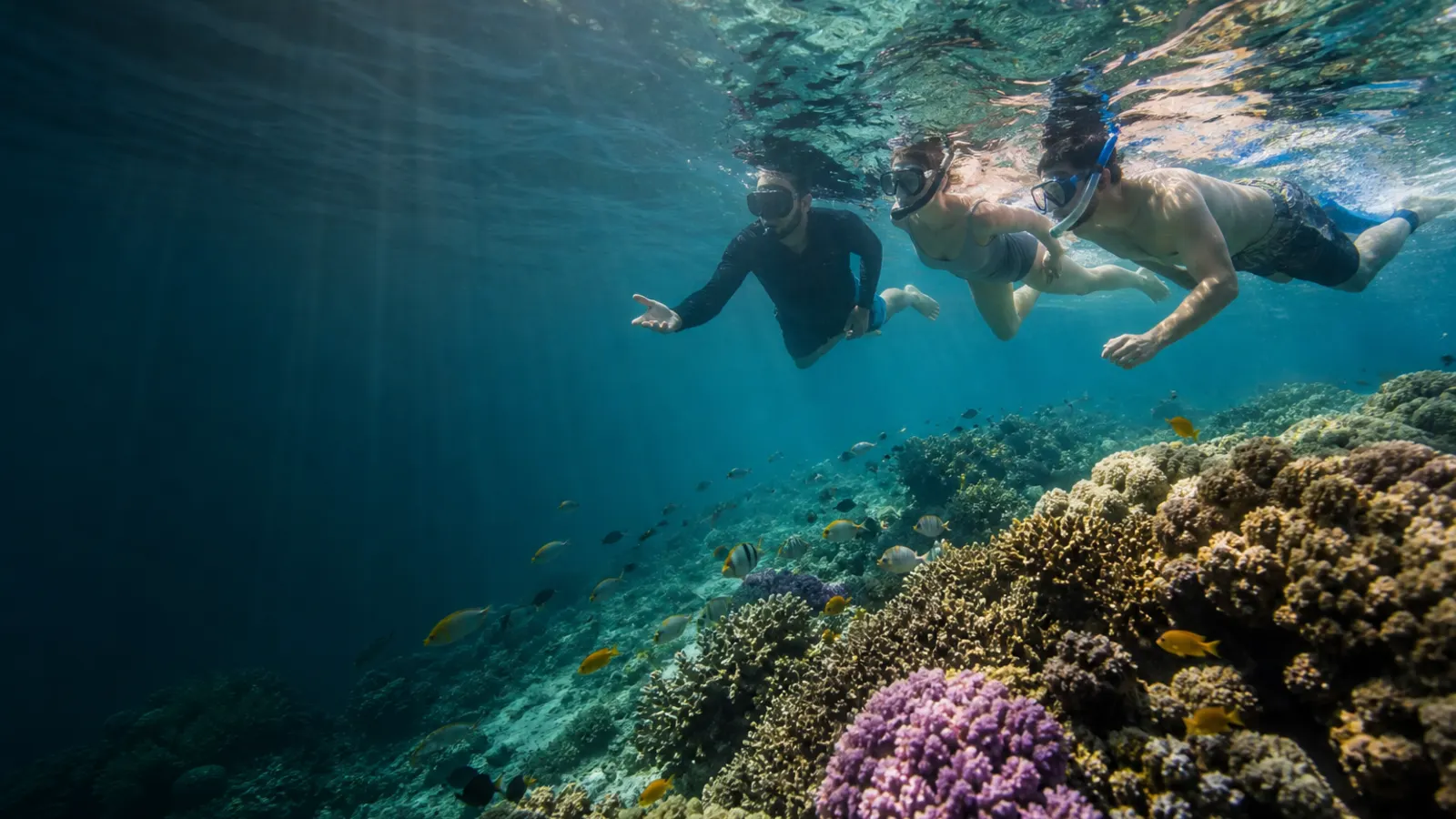 Private Snorkelling Experience